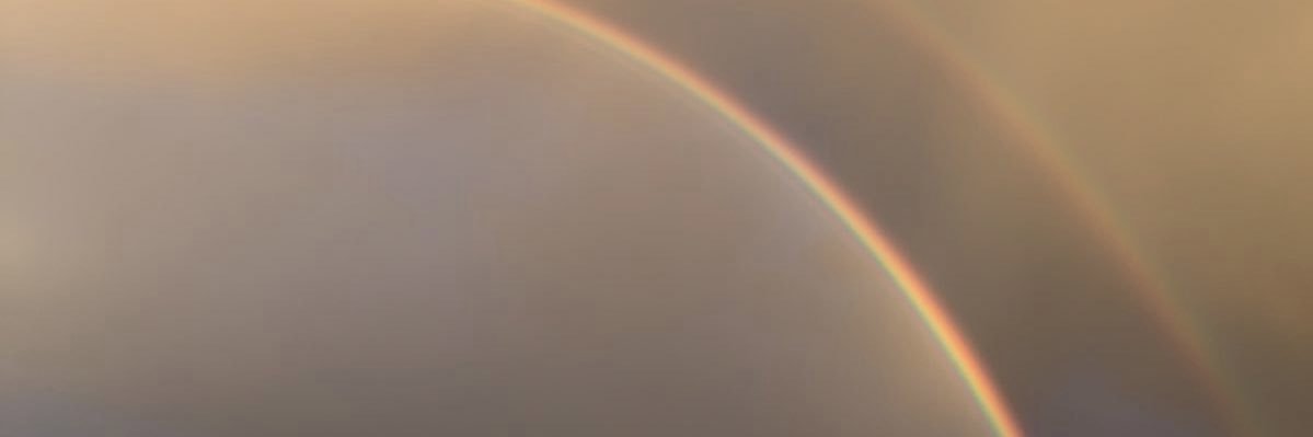 Am_xy9's profile banner image