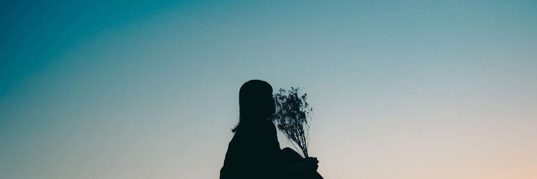 dvshnd's profile banner image
