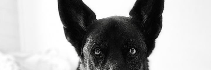 Moncho230564's profile banner image