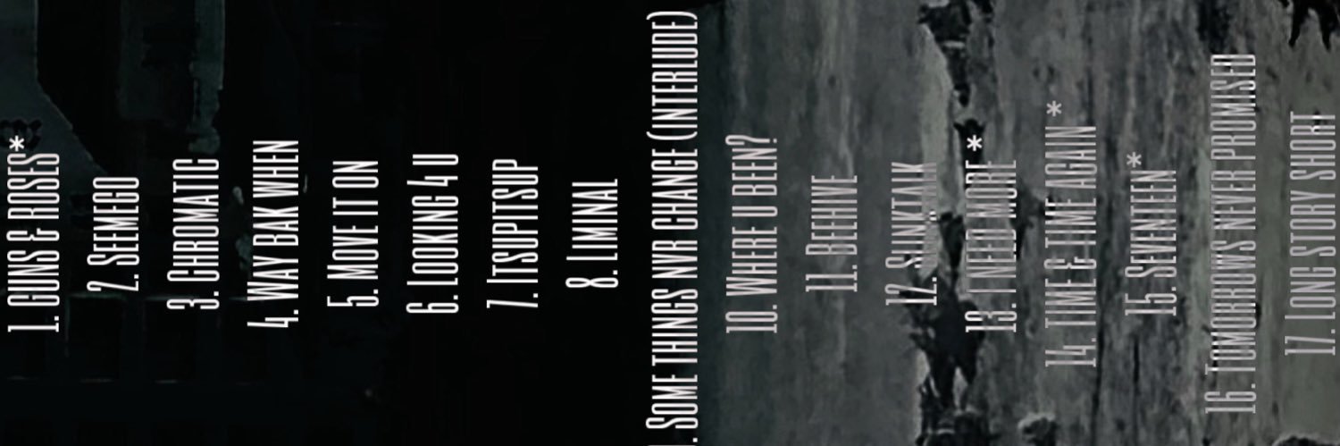 Snappzzi banner