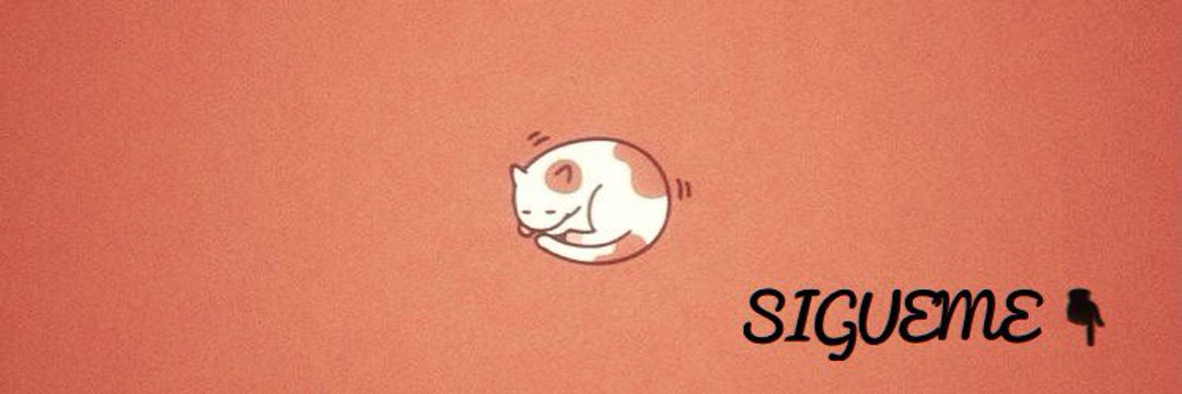 JavierR74196314's profile banner image