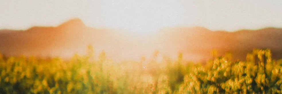 预想rousing banner