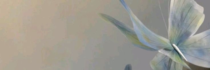 itscysbn's profile banner image