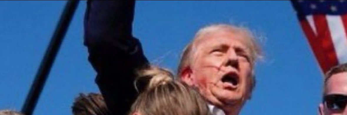 EpsteinDidntKillHimself banner