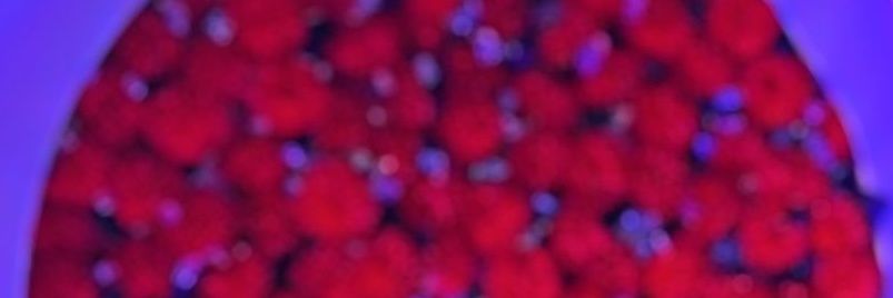 mennaMuham12044's profile banner image