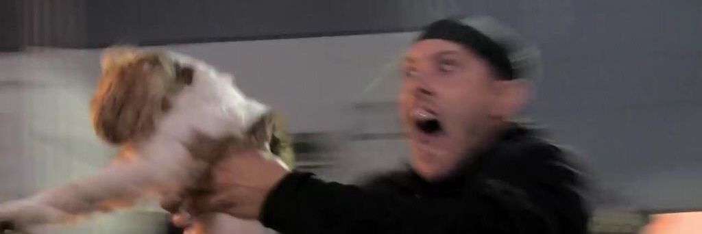Duyack_pus's profile banner image