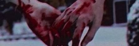 GH0STNUMBER's profile banner image