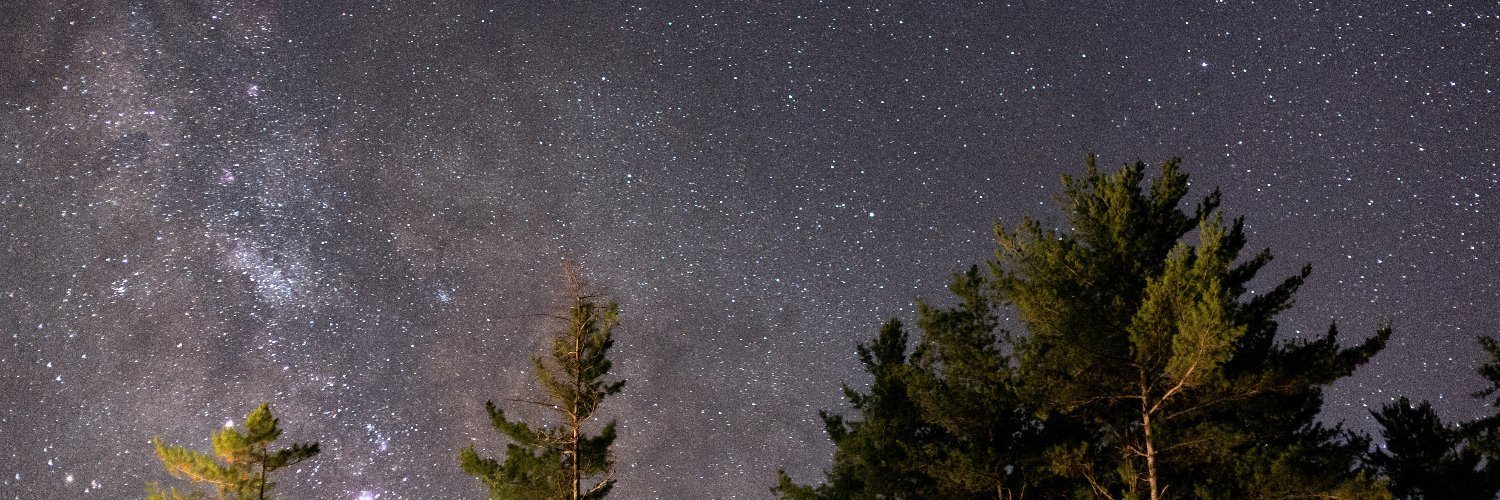 vinnimulvia's profile banner image