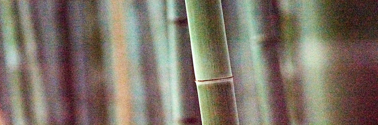 fringepop's profile banner image