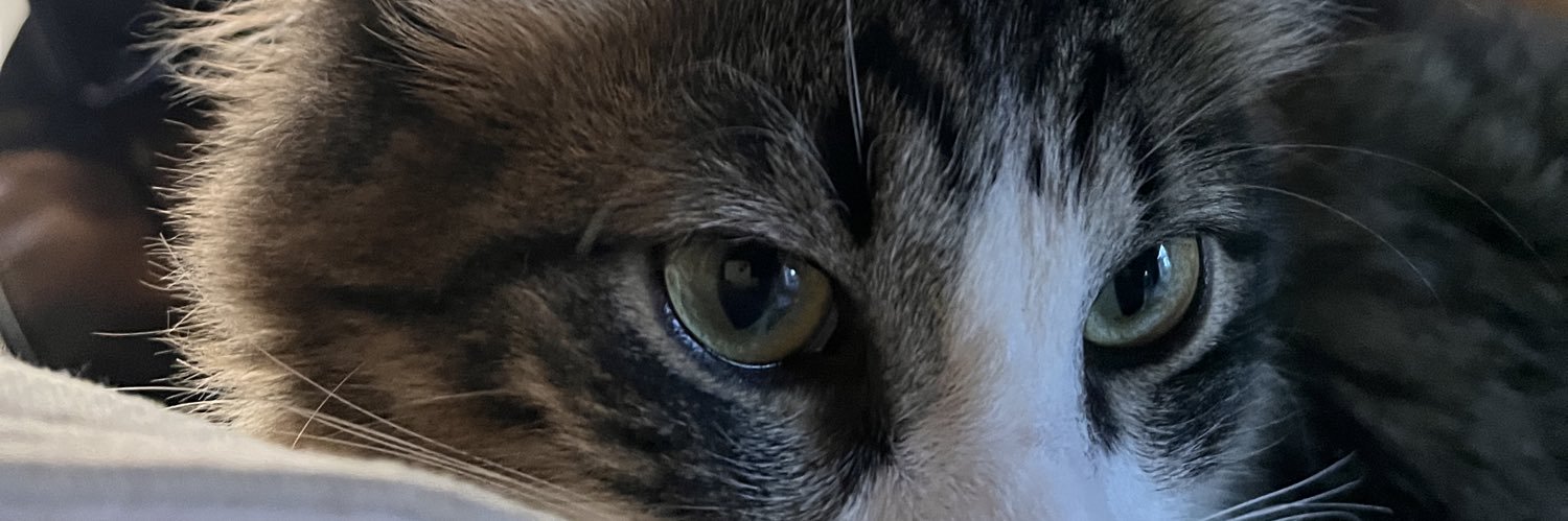 Ale🤯 banner
