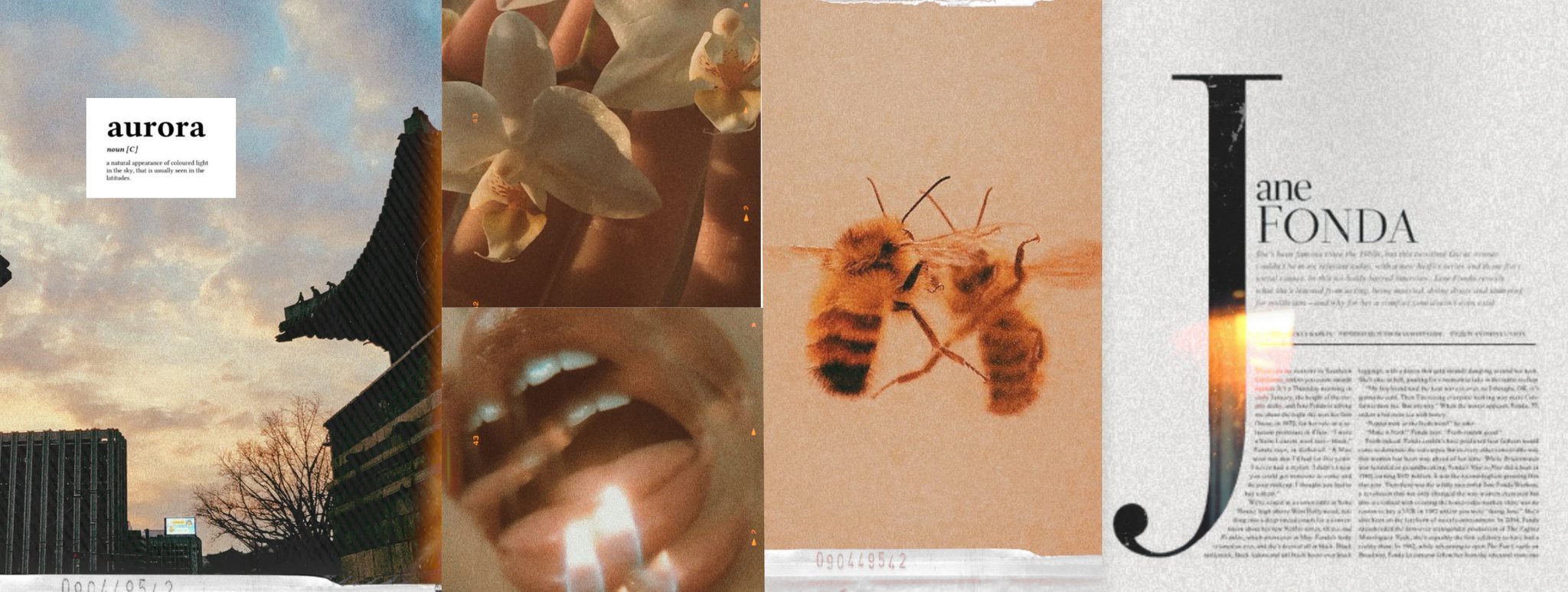 elian & regina! ♡ banner