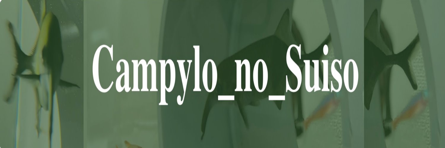 campylonosuiso's profile banner image