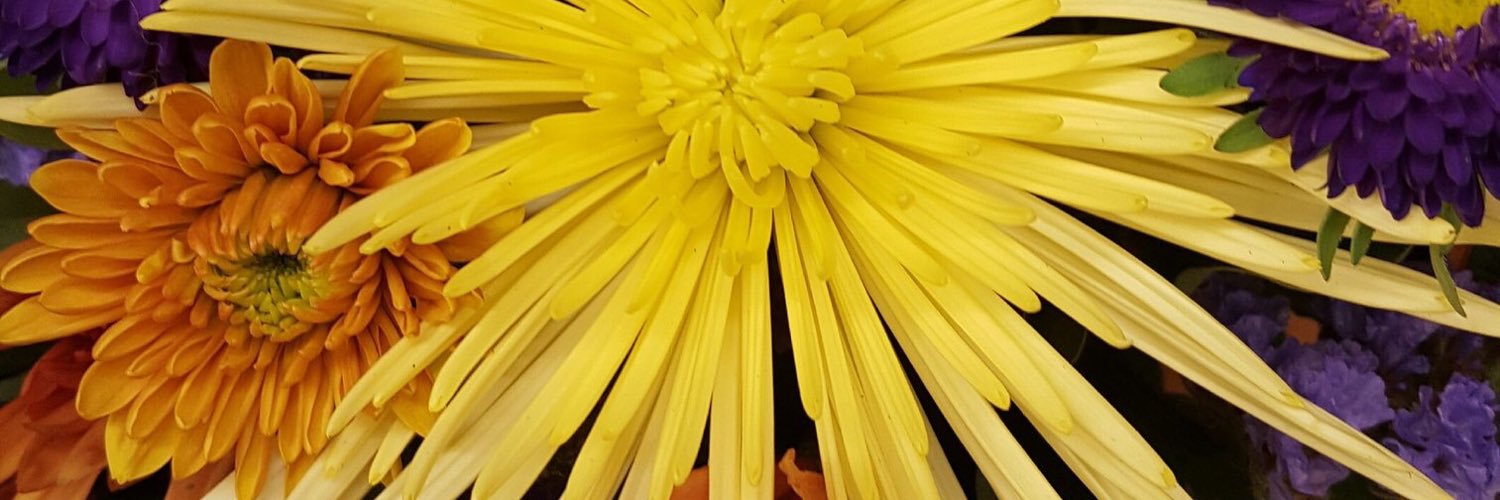 LoveIsNuclear's profile banner image