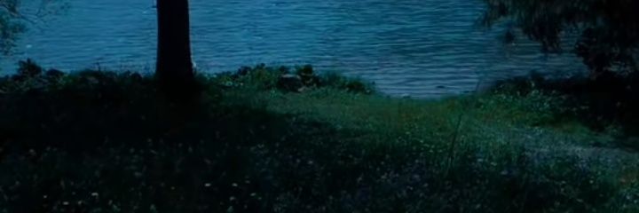Claudiacar19941's profile banner image