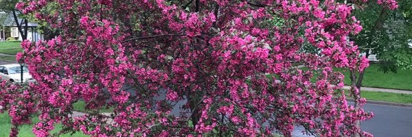 mflory Profile Banner