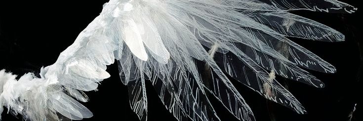 , 𝓒orintio banner