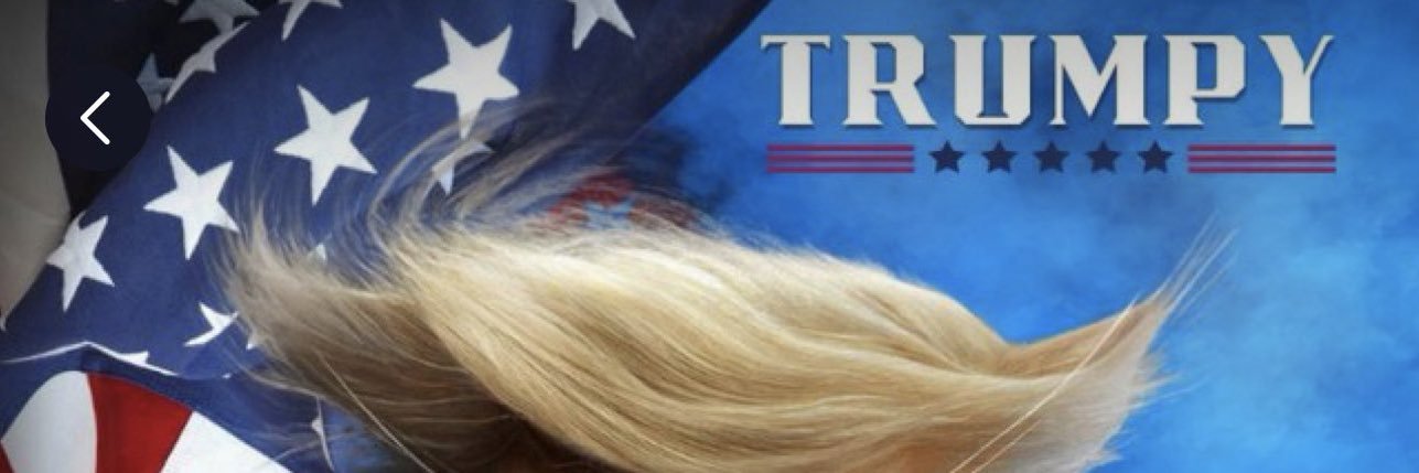 TrumpyArmyy's profile banner image