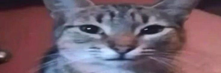 AshesAwoken's profile banner image