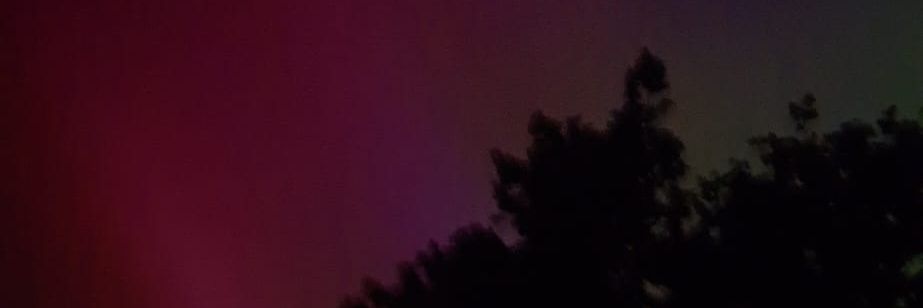 b82d262e's profile banner image