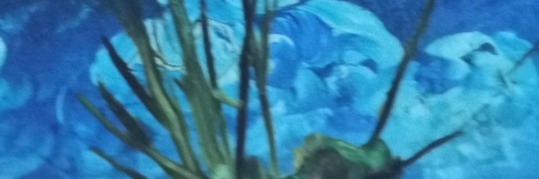 /全/世/界/第/一/灾/殃/星/ banner