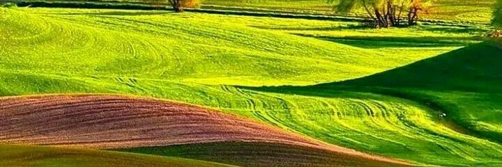 95844Kumar's profile banner image