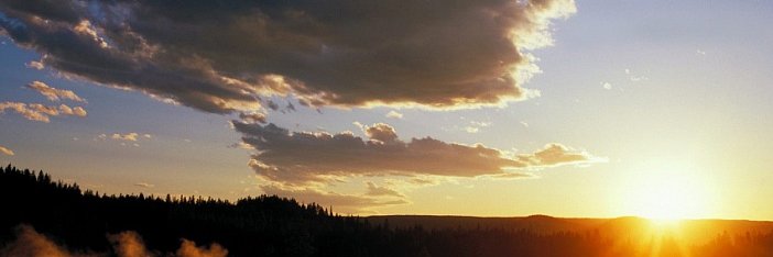 Cami Smith banner