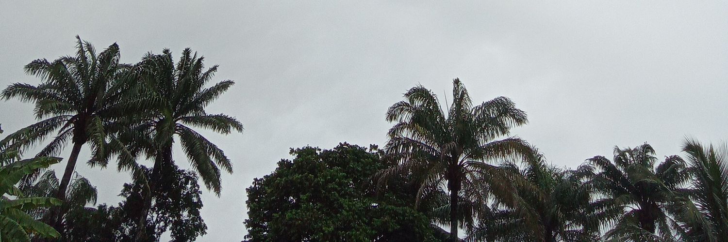 NWAIGWE PRINCESUCCESS banner