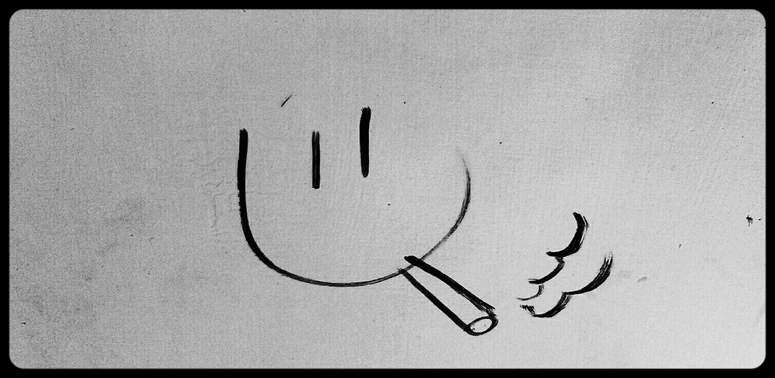 meldilla's profile banner image