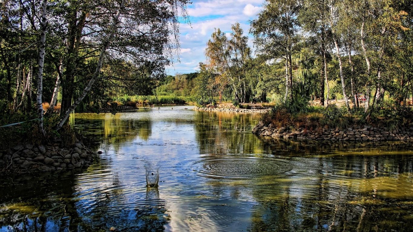 changapoco16768's profile banner image