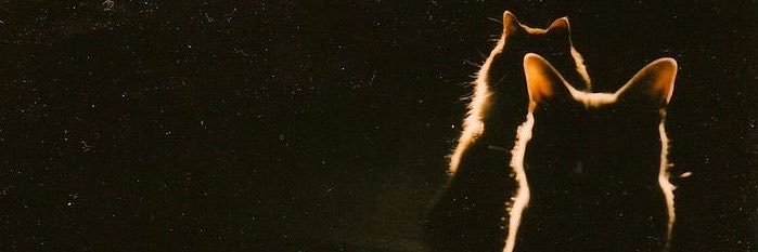 Jnowhat's profile banner image