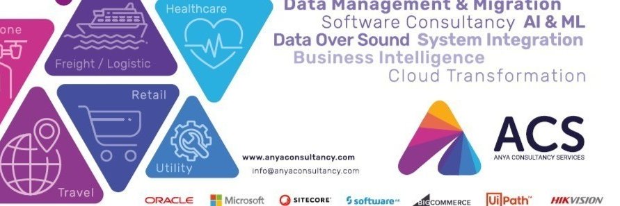 Anya Consultancy Services banner