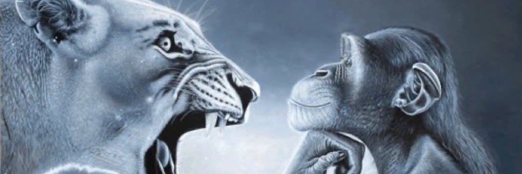 cosmicdestruct's profile banner image