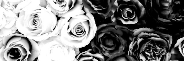 Y banner
