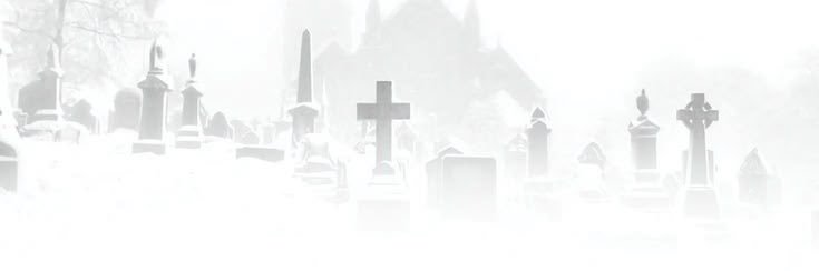 zyttiwyr's profile banner image