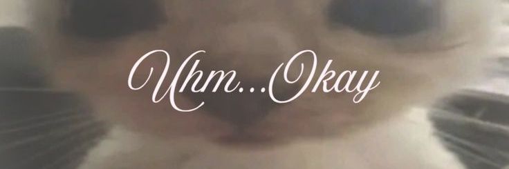 ebewish's profile banner image