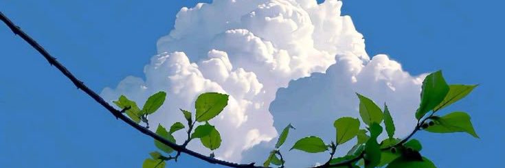 Pasmorboso21 banner