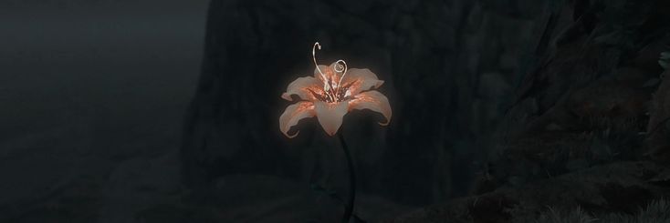 gellaaai_'s profile banner image
