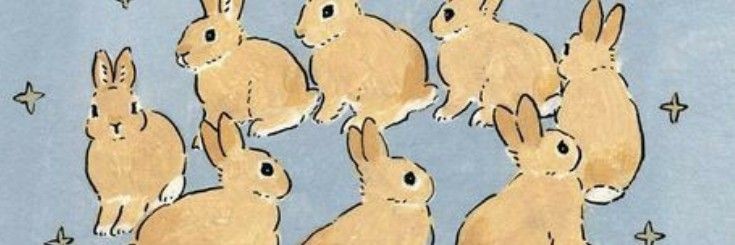 beeisforTillie's profile banner image