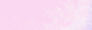 ねこ banner