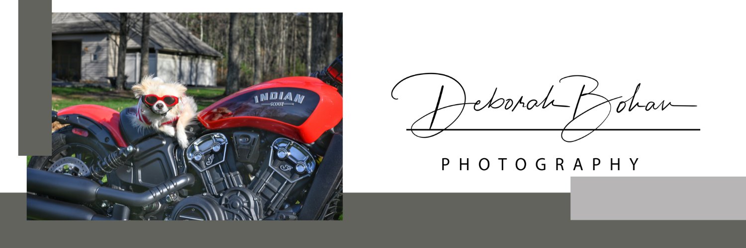 snarkdoctor's profile banner image