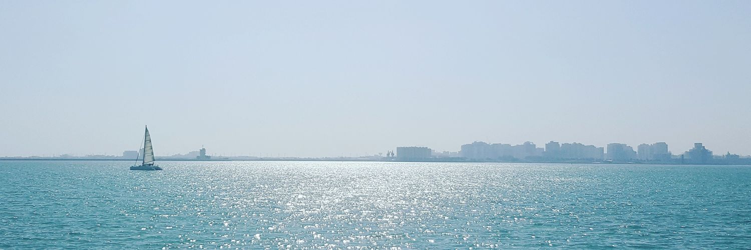 Alisher Nikimbaev banner