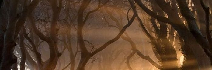 reecxt's profile banner image