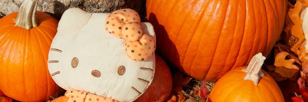 stanziirl Profile Banner