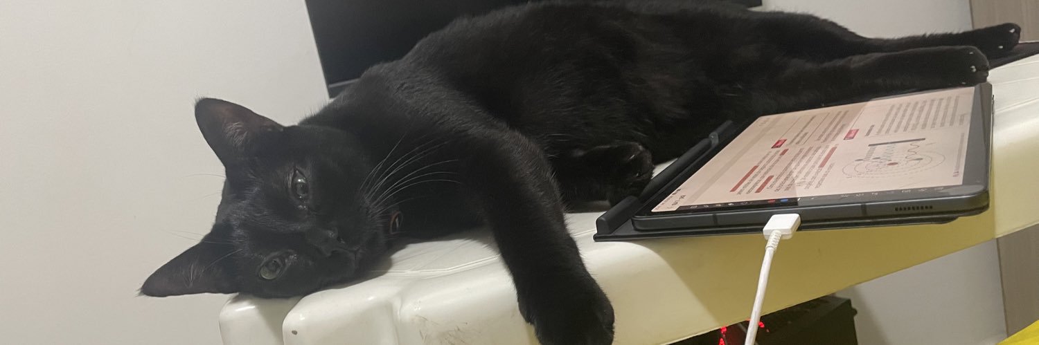 tiagosantsStudy's profile banner image