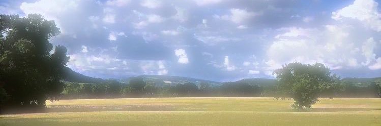 _meongwoo's profile banner image