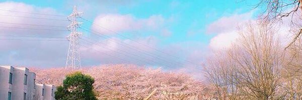 Qyo0705 Profile Banner