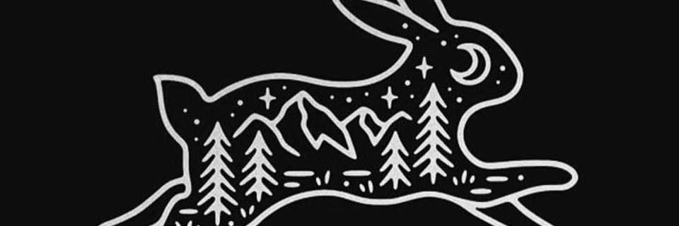 Rabbit6ix banner