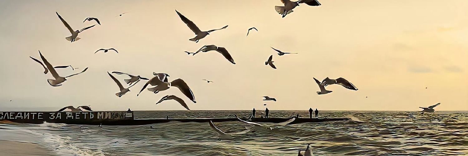 nan_de18964's profile banner image