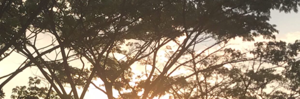 diaaatch's profile banner image