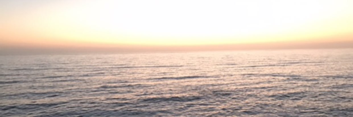 ReignLOYAL's profile banner image